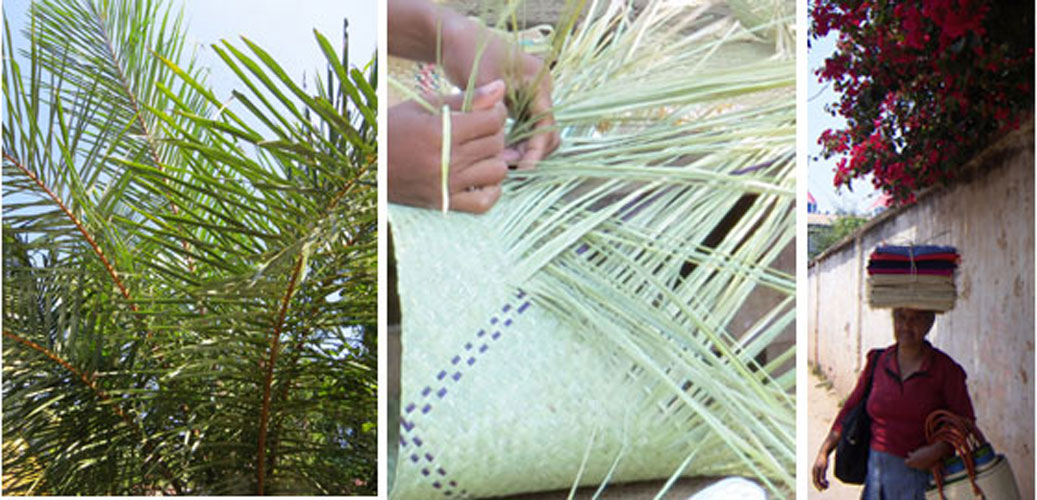 raffia palm, flätning av vass, hantverkare och designer