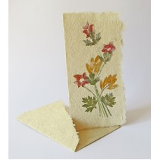 115 Blomsterkort 20x10cm 115 Blomsterkort 20x10cm