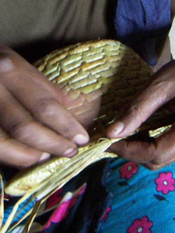 Step 4. After drying, the sedge is splinted and moisturized. Then begins braiding.