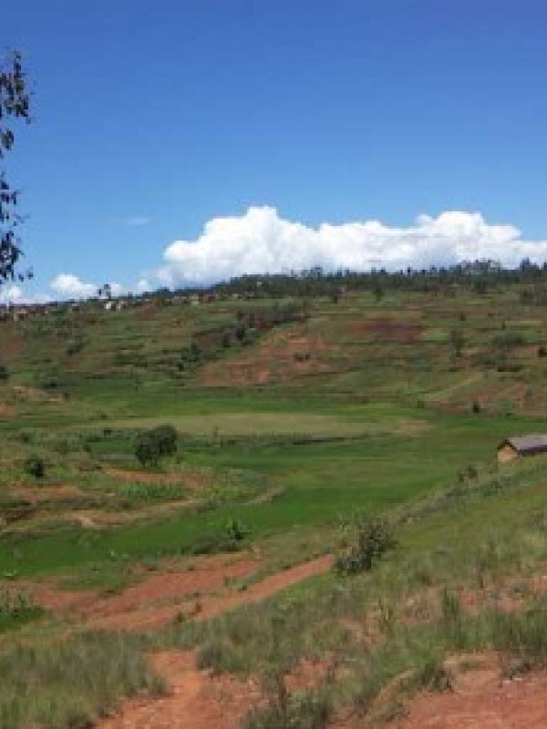 2. In Antapiabe, most people are self-sufficiency farmers in addition handicrafts. There are a lot of wild-growing sisal. The craft making generate cash income.